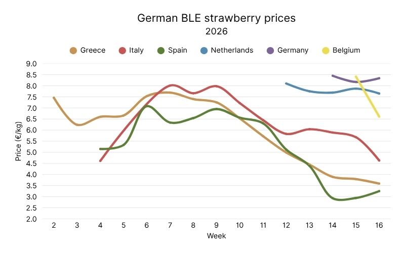 Strawberry prices from German BLE, 2026 (9).jpg